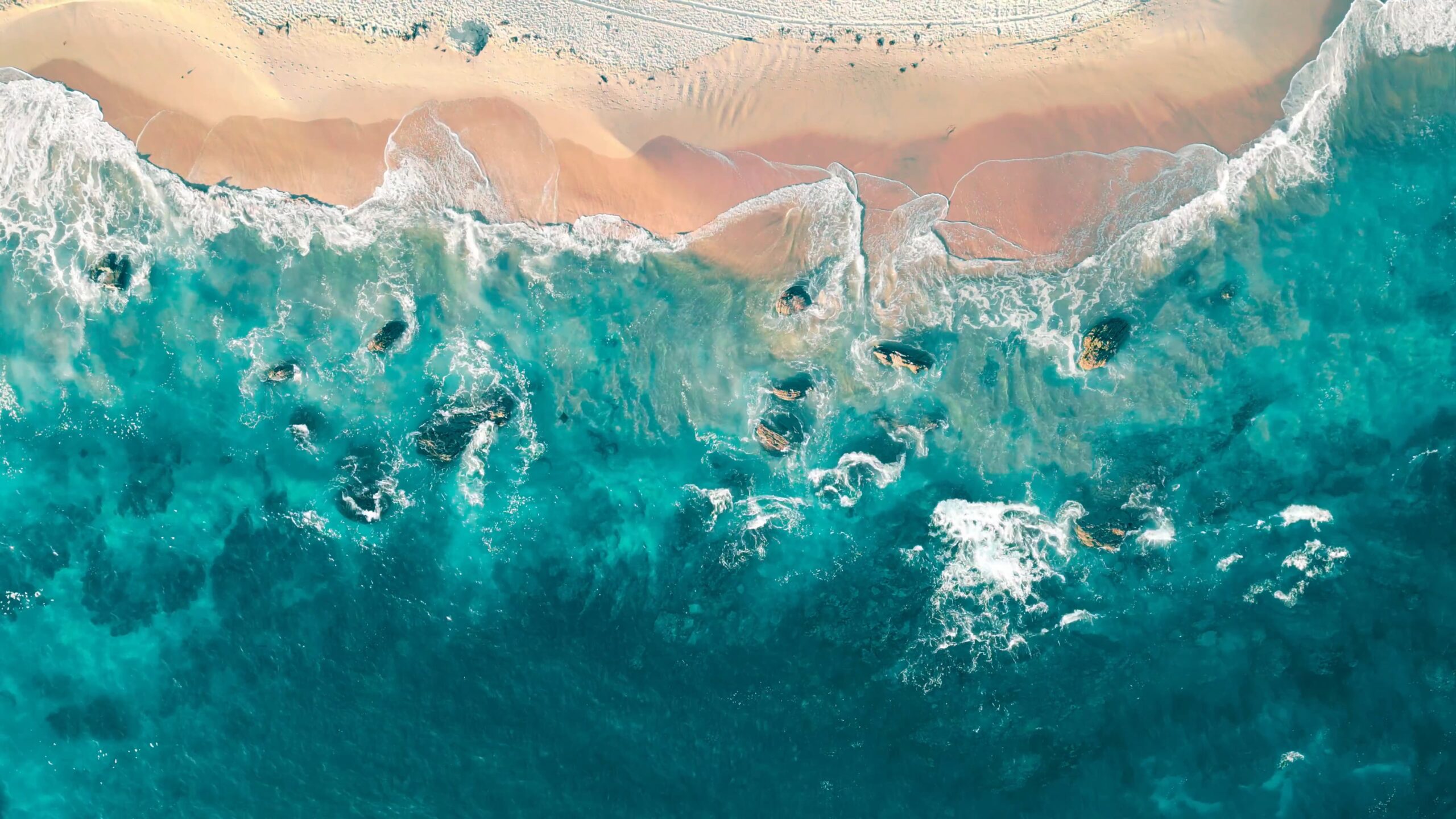Shoreline 2