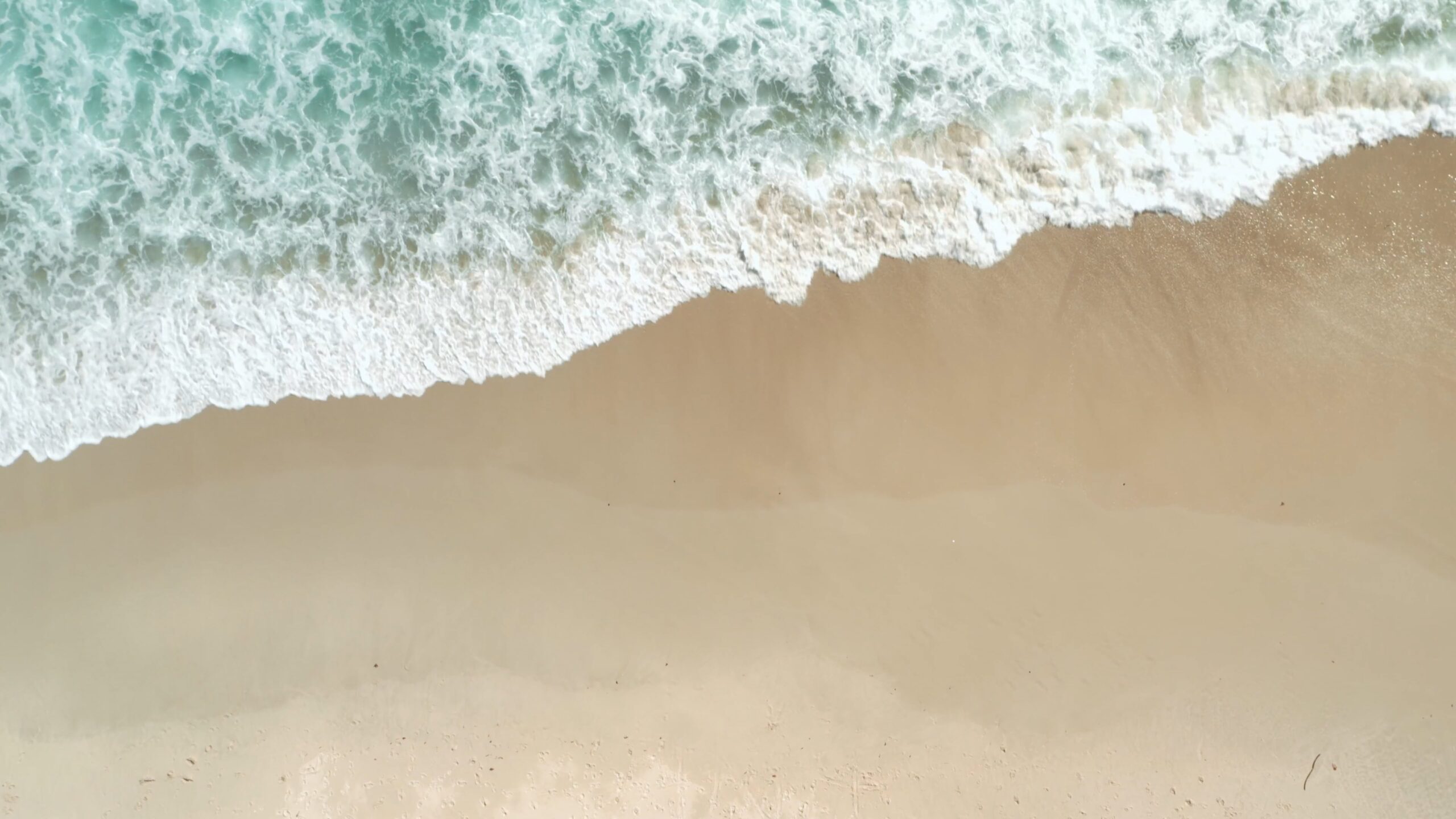 Shoreline 3